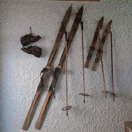 גוסאו Ferienwohnung Kunterbunt מראה חיצוני תמונה