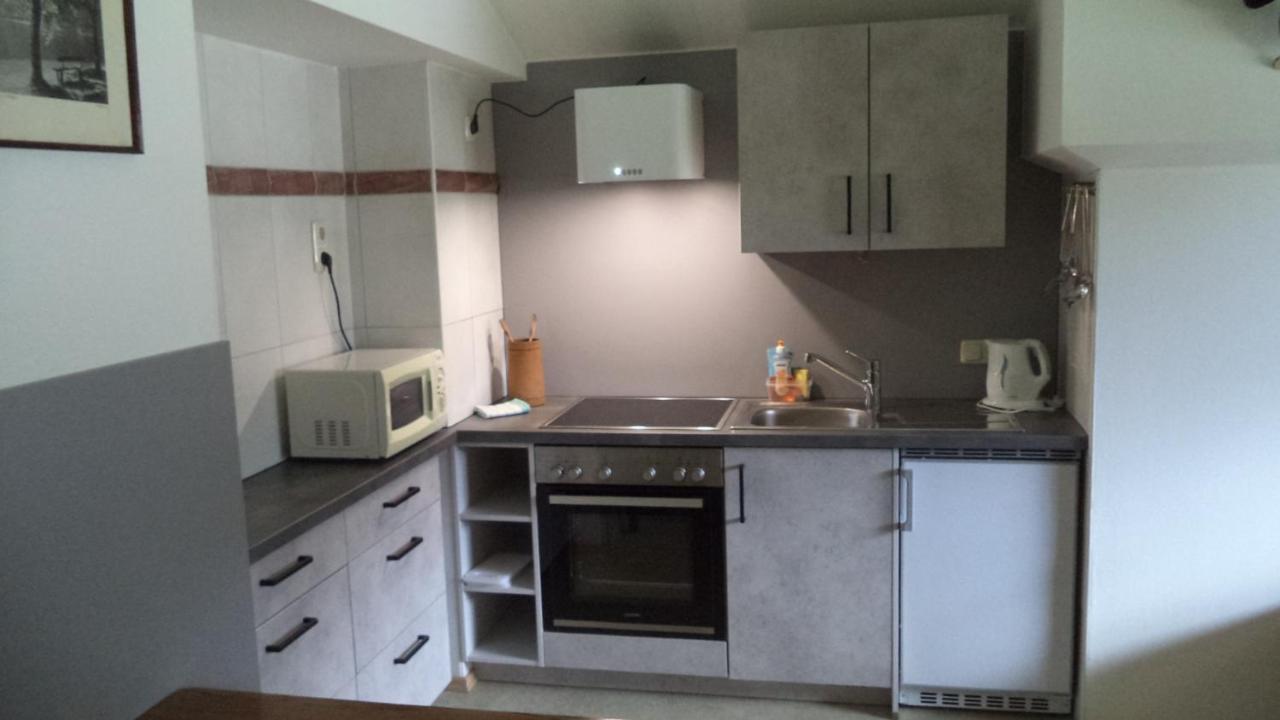 גוסאו Ferienwohnung Kunterbunt מראה חיצוני תמונה
